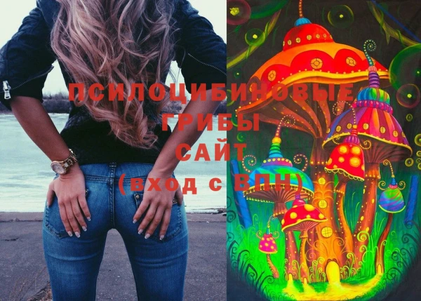 дурь Новодвинск