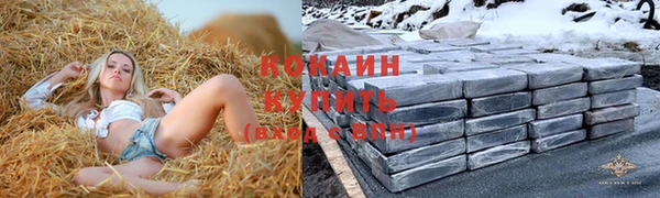 ПСИЛОЦИБИНОВЫЕ ГРИБЫ Всеволожск