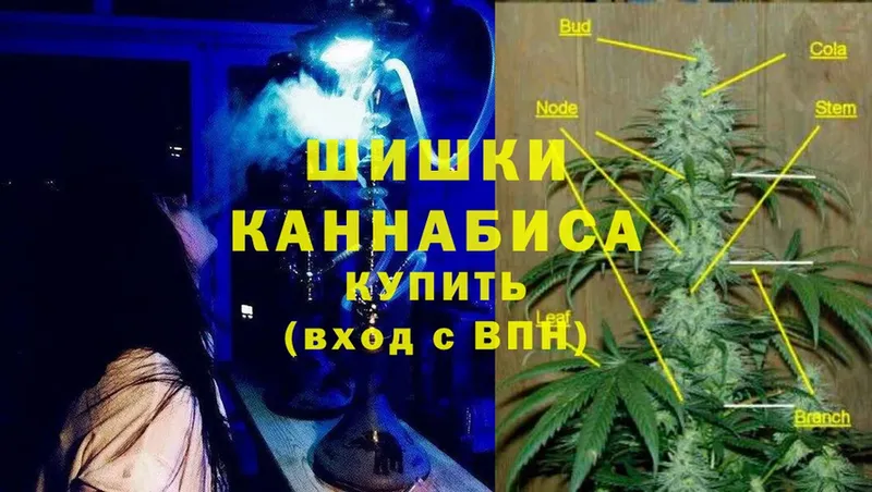 Бошки марихуана Ganja  Ладушкин 